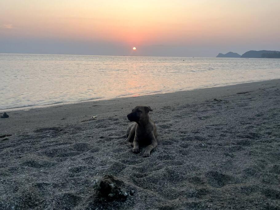 Sunset Serenity Cove Ko Pha Ngan Dış mekan fotoğraf
