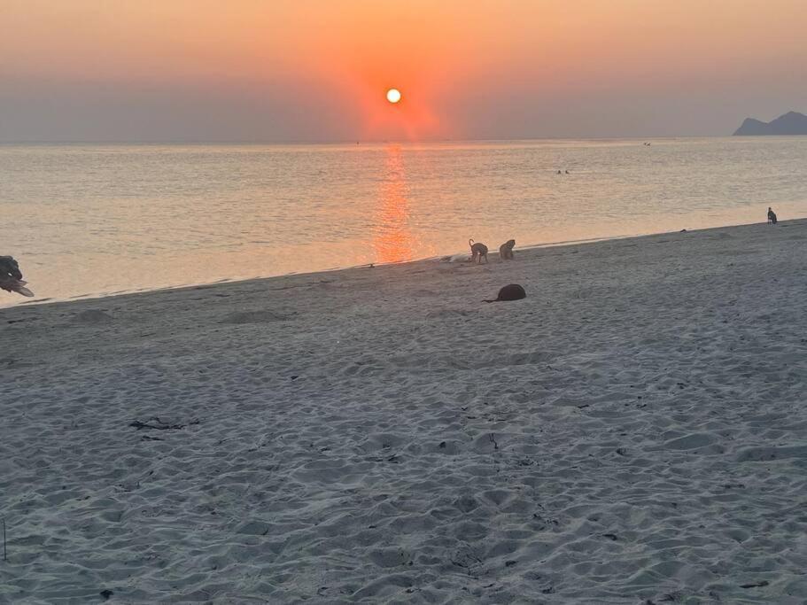 Sunset Serenity Cove Ko Pha Ngan Dış mekan fotoğraf